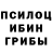 Псилоцибиновые грибы MAGIC MUSHROOMS ShamsievLive