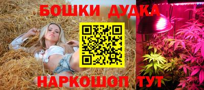 МДПВ Ликино-Дулёво