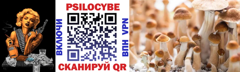 купить наркотики сайты  Керчь  Псилоцибиновые грибы ЛСД 