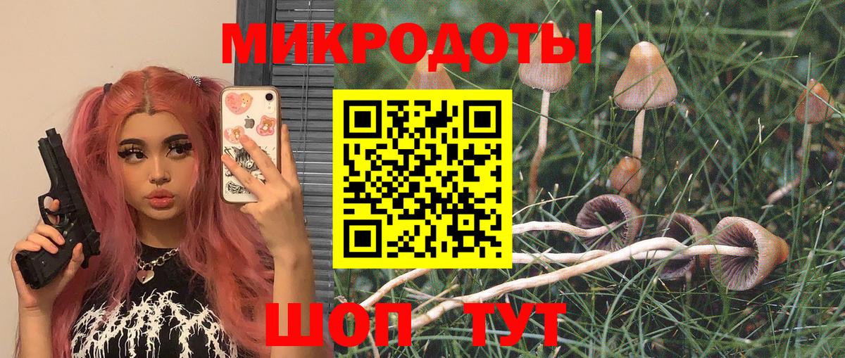 Псилоцибиновые грибы Psilocybe Керчь