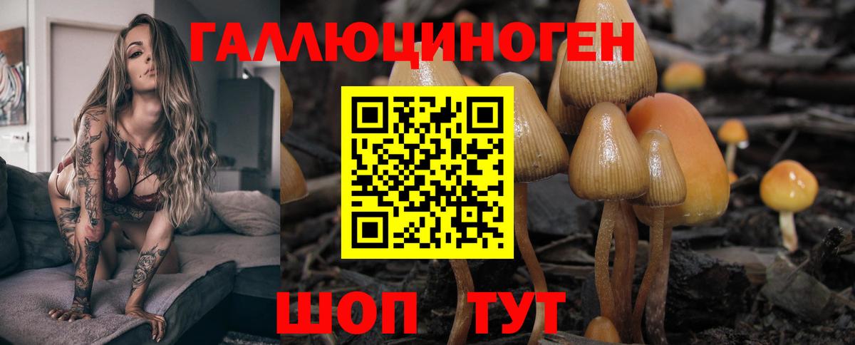 Псилоцибиновые грибы ЛСД  Вход с VPN  Керчь 